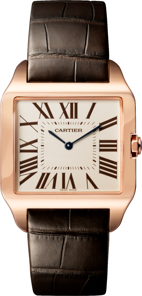 Cartier Santos de Cartier W2006951 