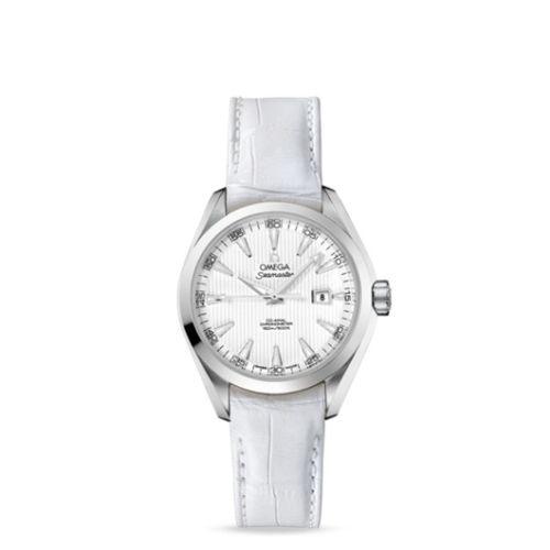 Omega 231.13.34.20.04.001 : Seamaster Aqua Terra 150M Co-Axial 34 Stainless Steel / Silver