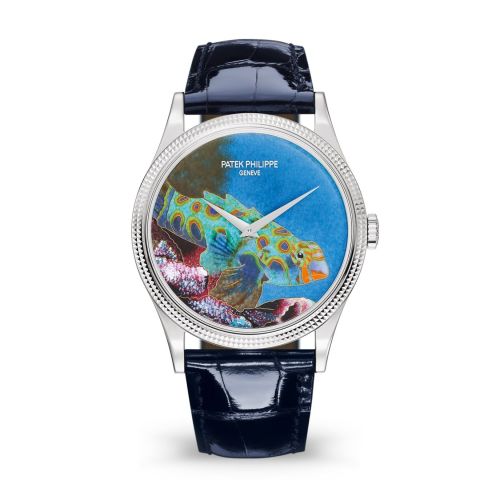 Patek Philippe 5177G-013 : Calatrava 5177G Italian Scenes / Tropical Fish