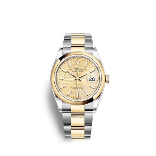 Rolex 126203-0038 : Datejust 36 Stainless Steel / Yellow Gold / Smooth / Golden Palm / Oyster