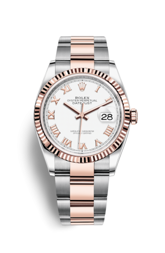 Rolex 126231-0016 : Datejust 36 Stainless Steel / Everose / Fluted / White Roman / Oyster