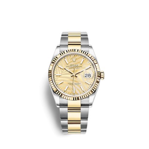 Rolex 126233-0038 : Datejust 36 Stainless Steel / Yellow Gold / Fluted / Champagne - Palm / Oyster