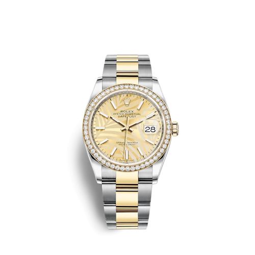 Rolex 126283RBR-0024 : Datejust 36 Stainless Steel / Yellow Gold / Diamond / Champagne - Palm / Oyster