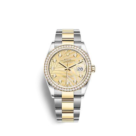 Rolex 126283RBR-0030 : Datejust 36 Stainless Steel  - Yellow Gold - Diamond / Champagne - Palm - Diamond / Oyster