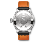 IWC - IW5010-01