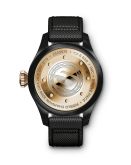IWC - IW5029-08