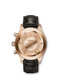 IWC - IW3878-11