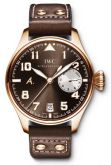 IWC - IW5004-21