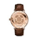 IWC - IW3565-21