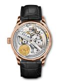 IWC - IW5001-28