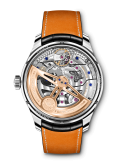 IWC - IW5034-06