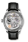 IWC - IW5035-01