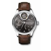 IWC - IW5042-07