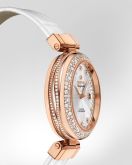 Omega - 425.68.34.20.55.004