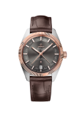 Omega - 130.23.41.22.06.001