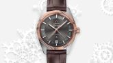 Omega - 130.23.41.22.06.001