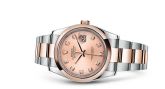 Rolex - 116201-0081