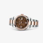 Rolex - 116201-0105