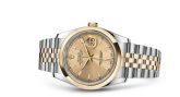 Rolex - 116203-0142