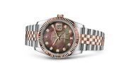 Rolex - 116231-0061