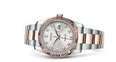 Rolex - 116231-0077