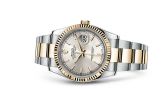 Rolex - 116233-0169