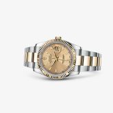 Rolex - 116233-0172