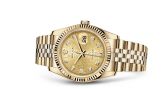 Rolex - 116238-0058