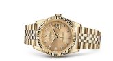 Rolex - 116238-0061