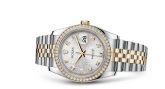 Rolex - 116243-0002