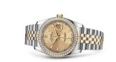 Rolex - 116243-0003