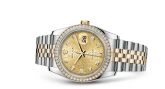 Rolex - 116243-0004