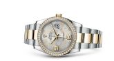 Rolex - 116243-0008