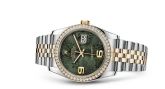 Rolex - 116243-0009