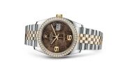 Rolex - 116243-0010