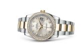 Rolex - 116243-0012