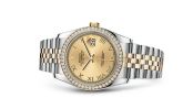 Rolex - 116243-0019