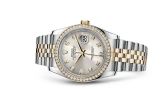 Rolex - 116243-0022