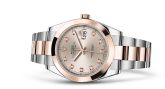 Rolex - 126301-0007