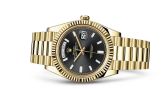 Rolex - 228238-0004