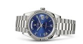 Rolex - 228239-0007