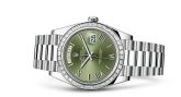 Rolex - 228396tbr-0020