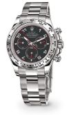 Rolex - 116509-0036
