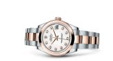 Rolex - 178241-0010