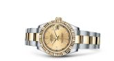 Rolex - 178313-0017