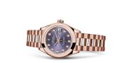 Rolex - 279165-0019