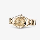 Rolex - 80318-0060
