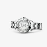 Rolex - 80319-0040
