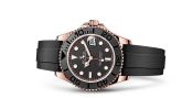 Rolex - 268655-0002