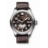 IWC - IW3261-02